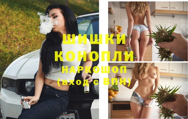 ГАЛЛЮЦИНОГЕННЫЕ ГРИБЫ Михайловка