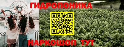 бошки Донецк