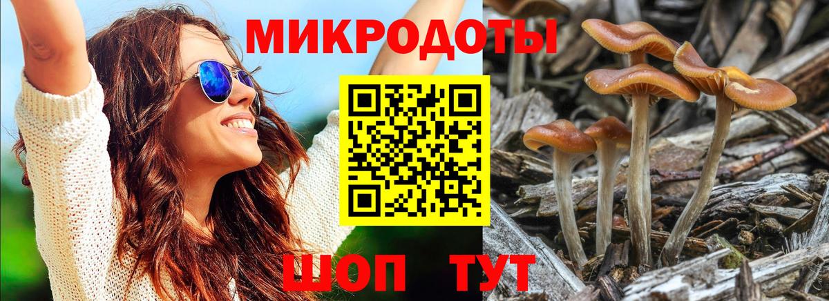 Галлюциногенные грибы Psilocybine cubensis Воронеж
