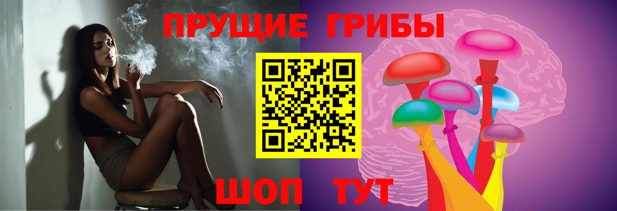 Воронеж  Псилоцибиновые грибы GOLDEN TEACHER  Псилоцибиновые грибы прущие грибы  Вход с VPN 